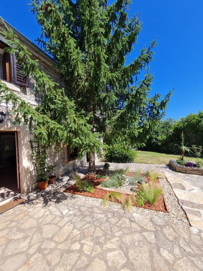 Villa Stonehouse Ana With Jacuzzi Rovinj-Krmed Esterno foto