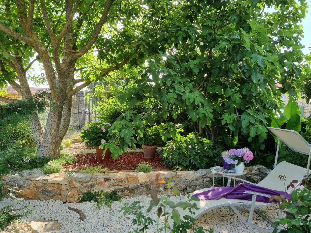 Villa Stonehouse Ana With Jacuzzi Rovinj-Krmed Esterno foto