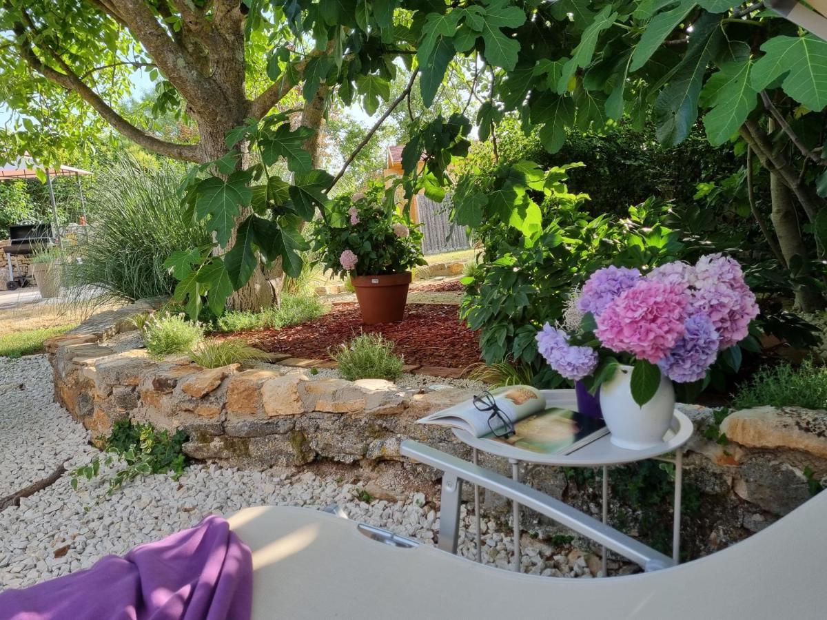 Villa Stonehouse Ana With Jacuzzi Rovinj-Krmed Esterno foto